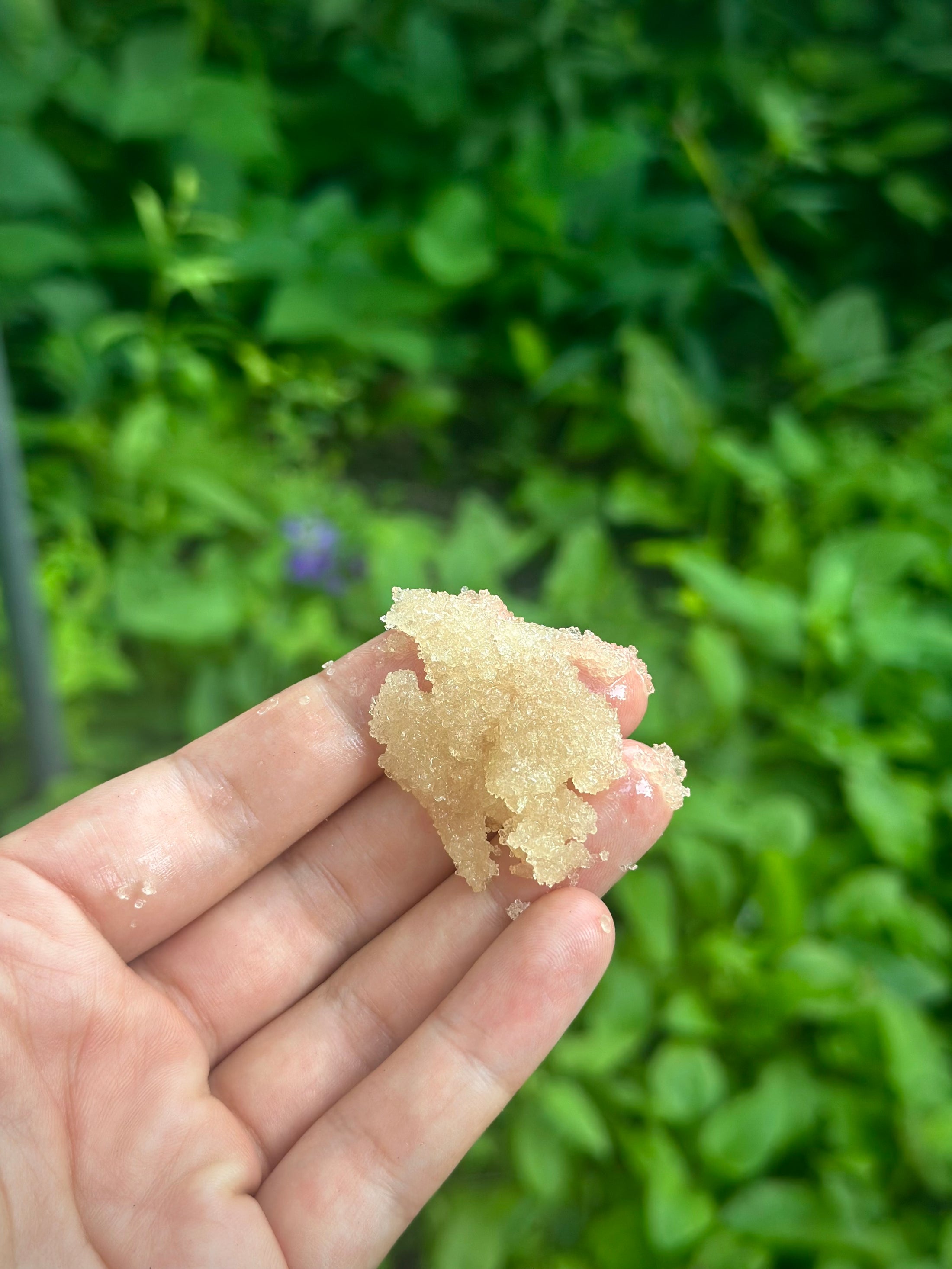 Sugar Scrub